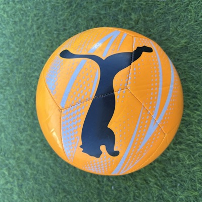 Gambz82 logo