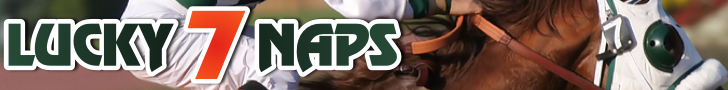 Lucky 7 Naps logo