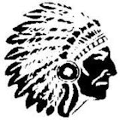 indianbet logo