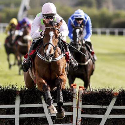 CD Systems - Daily Bargain-Horse Racing