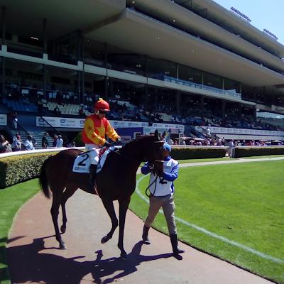 GONE RACING-Horse Racing