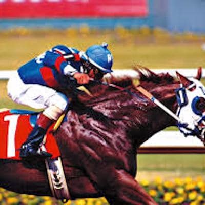 321 RATINGS Horse Racing
