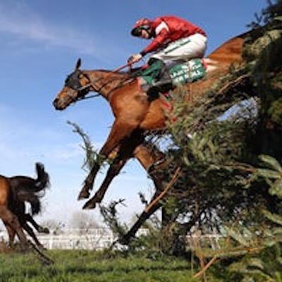A Turn Of Foot Horse Racing