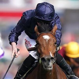 Black Squid Tips Horse Racing