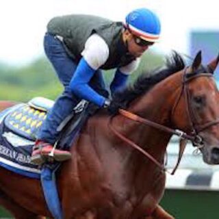 Charlies Winners Horse Racing