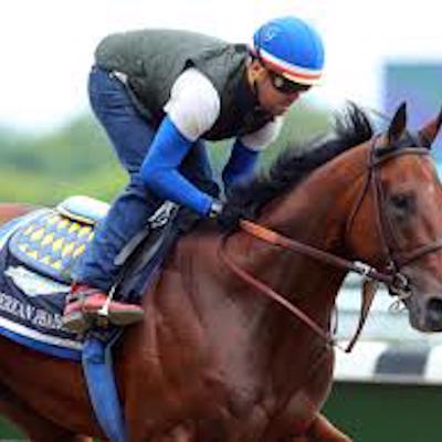 Charlies Winners Horse Racing