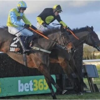 Dutch And Win Horse Racing