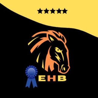 Easy Horse Backing Horse Racing