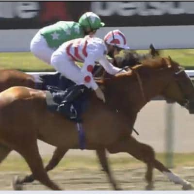 Eye for Value Horse Racing