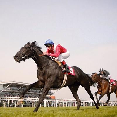 Horse Racing Stable Income Horse Racing