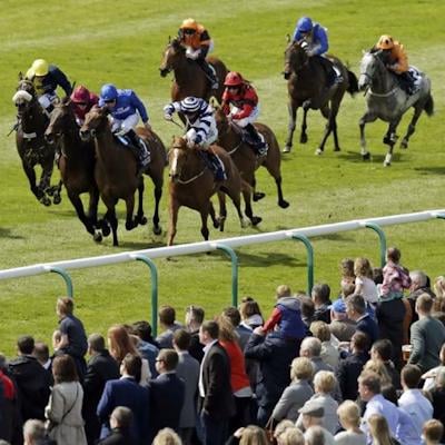 KensFlat Horse Racing