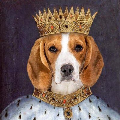 King of Dogs Football