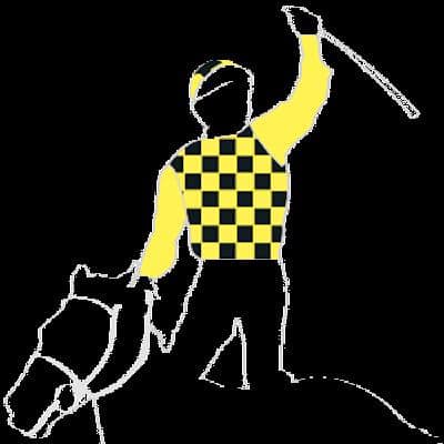 Read Between The Lines Horse Racing