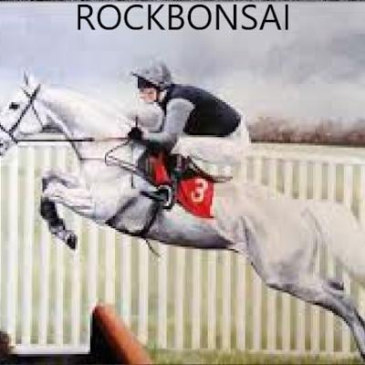 RockBonsai121 Horse Racing