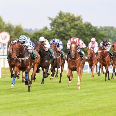 The Armchair Pundit Horse Racing