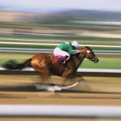 The Fast Horses Horse Racing