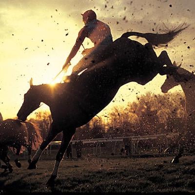 The Golden Horse Horse Racing