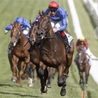 The Northern Mole Horse Racing
