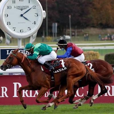 TipsToFolow Horse Racing