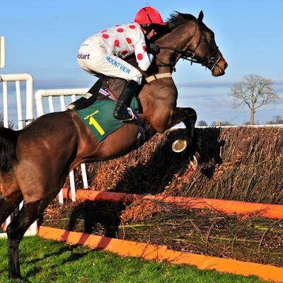 Top Rated Jumps Horse Racing