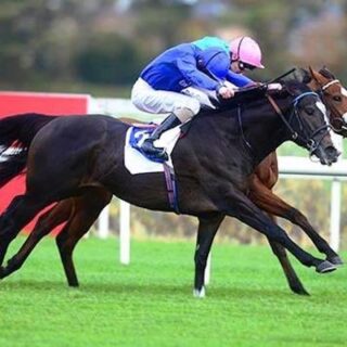 Youmzain Horse Racing