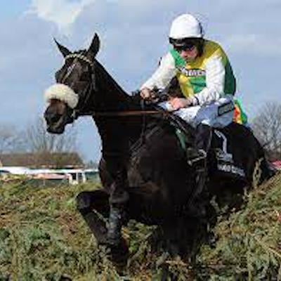 morningprofit Horse Racing