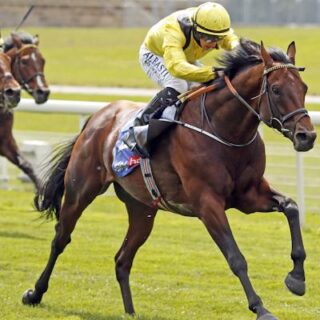 Last2first Horse Racing