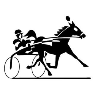 horses bets Horse Racing