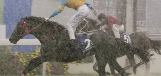 Weather check on horse racing