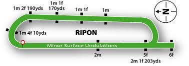 Ripon race course