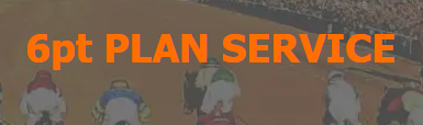 6pts Plan Racing Horse Racing