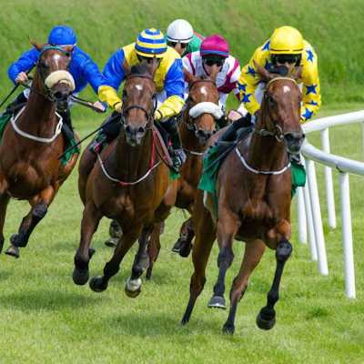 BeerLord Footbal Horse Racing