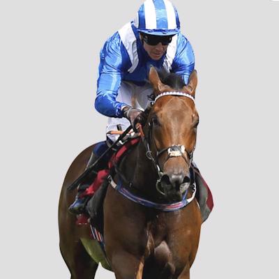 Bred For Speed Horse Racing