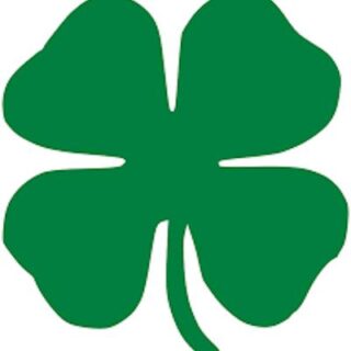 Celtic Horse Whispers Horse Racing