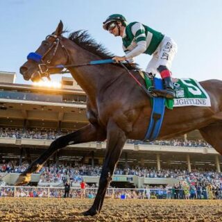 EveningTips Horse Racing