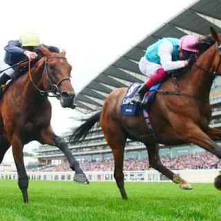 Goldmine20Racing Horse20Racing