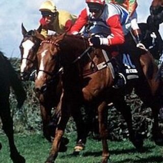 K4 TIPS Horse Racing