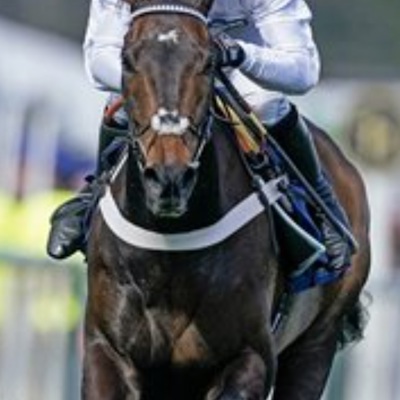 Looking20for20value Horse20Racing