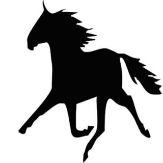 Pace Racing Horse Racing