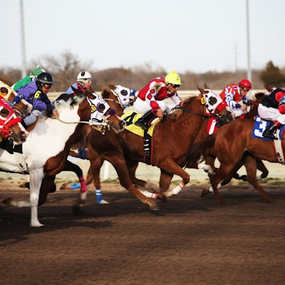 Petehorses Horse20Racing