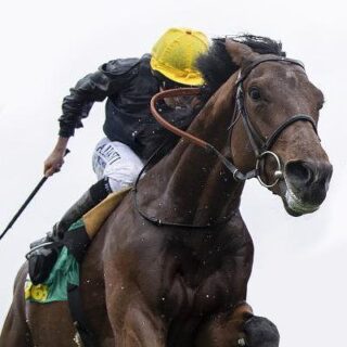 The20Agile20Llama20Tips Horse20Racing