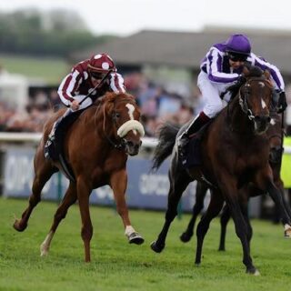 Time For A Nap Horse Racing