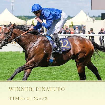 Trytips Horse20Racing