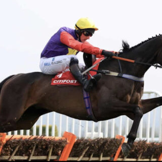 Venn Racing Horse Racing