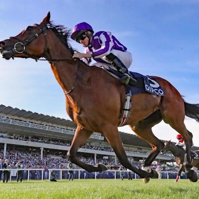 Winster Horse Racing