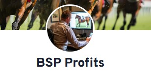bsp profits