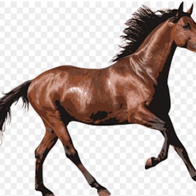 interesting20method Horse20Racing