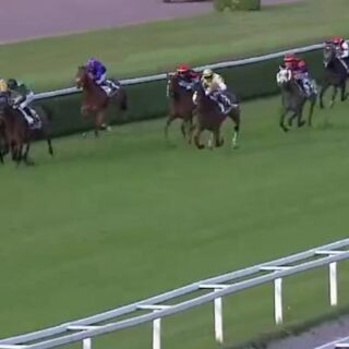 Neigh Sayers20Racing Horse20Racing