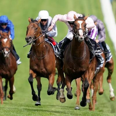 Statsman Horse20Racing
